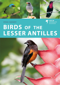 Cover image: Birds of the Lesser Antilles 1st edition 9781472989611