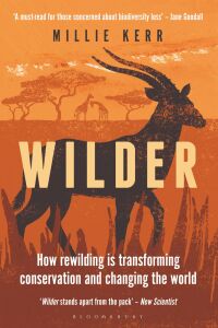 Cover image: Wilder 1st edition 9781472990389