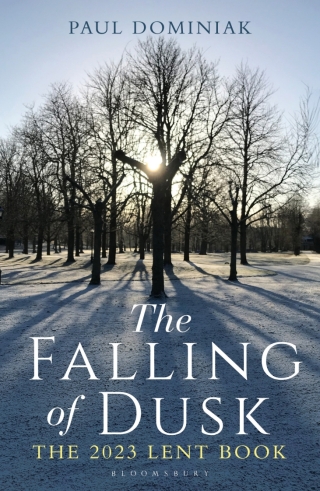 Immagine di copertina: The Falling of Dusk 1st edition 9781472990471