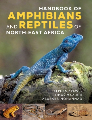Cover image: Handbook of Amphibians and Reptiles of North-east Africa 1st edition 9781472991447