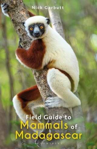 Imagen de portada: Field Guide to Mammals of Madagascar 1st edition 9781472991676