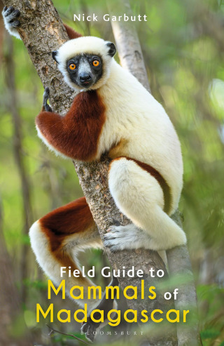 Cover image: Field Guide to Mammals of Madagascar 1st edition 9781472991676