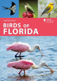 Cover image: Birds of Florida 1st edition 9781472993359