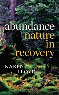 Cover image: Abundance 1st edition 9781472989086