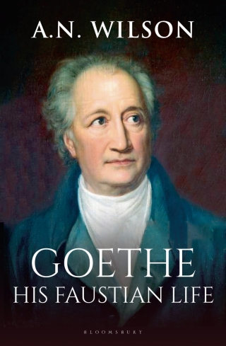 Cover image: Goethe 1st edition 9781472994868