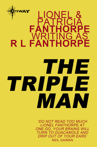 Cover image: The Triple Man 9781473203617