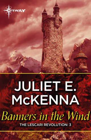 Cover image: Banners in the Wind 9781473226265