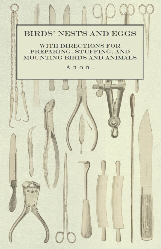 Cover image: Birds' Nests and Eggs - With Directions for Preparing, Stuffing, and Mounting Birds and Animals 9781473327900