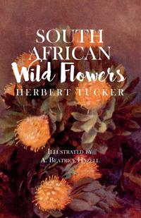 表紙画像: South African Wild Flowers - Illustrated by A. Beatrice Hazell 9781473330542