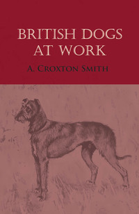 表紙画像: British Dogs at Work 9781473332010