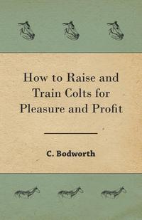 صورة الغلاف: How to Raise and Train Colts for Pleasure and Profit 9781473332607