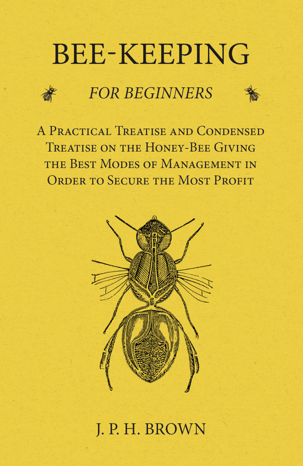 Bee-Keeping for Beginners – A Practical Treatise and Condensed Treatise on the Honey-Bee Giving the Best Modes of Management in Order to Secure the Most Profit