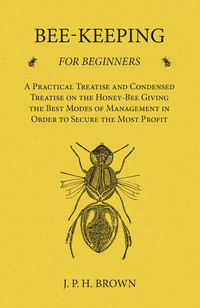 Imagen de portada: Bee-Keeping for Beginners - A Practical Treatise and Condensed Treatise on the Honey-Bee Giving the Best Modes of Management in Order to Secure the Most Profit 9781473334168