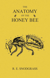 Omslagafbeelding: The Anatomy of the Honey Bee 9781473334236