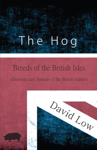 Cover image: The Hog - Breeds of the British Isles (Domesticated Animals of the British Islands) 9781473335936