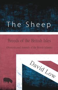 صورة الغلاف: The Sheep - Breeds of the British Isles (Domesticated Animals of the British Islands) 9781473335943