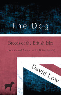 Cover image: The Dog - Breeds of the British Isles (Domesticated Animals of the British Islands) 9781473335967
