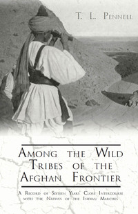 Omslagafbeelding: Among the Wild Tribes of the Afghan Frontier - A Record of Sixteen Years' Close Intercourse with the Natives of the Indian Marches 9781473336094