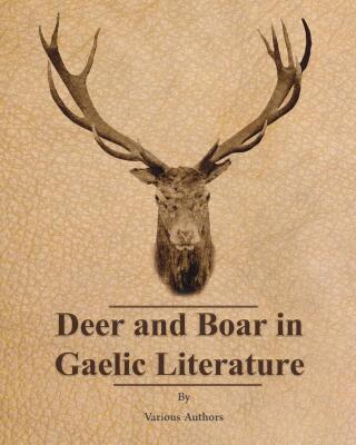 Imagen de portada: Deer and Boar in Gaelic Literature 9781473336230