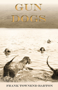Cover image: Gun Dogs 9781473336339