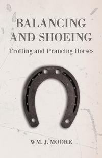 Cover image: Balancing and Shoeing Trotting and Prancing Horses 9781473336599