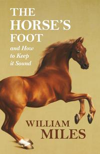 Omslagafbeelding: The Horse's Foot and How to Keep it Sound 9781473336674