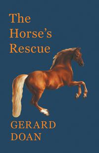Imagen de portada: The Horse's Rescue 9781473336728