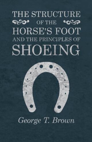 Immagine di copertina: The Structure of the Horse's Foot and the Principles of Shoeing 9781473336841