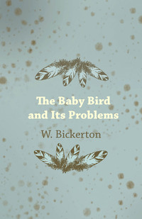 Cover image: The Baby Bird and Its Problems 9781473337312