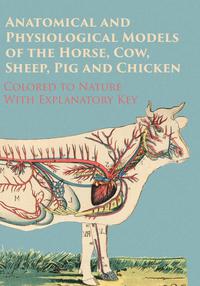 表紙画像: Anatomical and Physiological Models of the Horse, Cow, Sheep, Pig and Chicken - Colored to Nature - With Explanatory Key 9781473337589