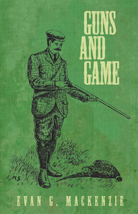 Cover image: Guns and Game 9781473337619