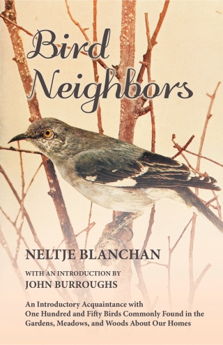 Imagen de portada: Bird Neighbors - An Introductory Acquaintance with One Hundred and Fifty Birds Commonly Found in the Gardens, Meadows, and Woods About Our Homes 9781473335363