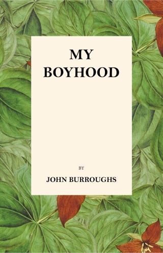 Imagen de portada: My Boyhood 9781473335431