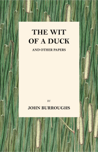 Cover image: The Wit of a Duck and Other Papers 9781473335509