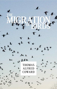 Cover image: The Migration of Birds 9781473335523