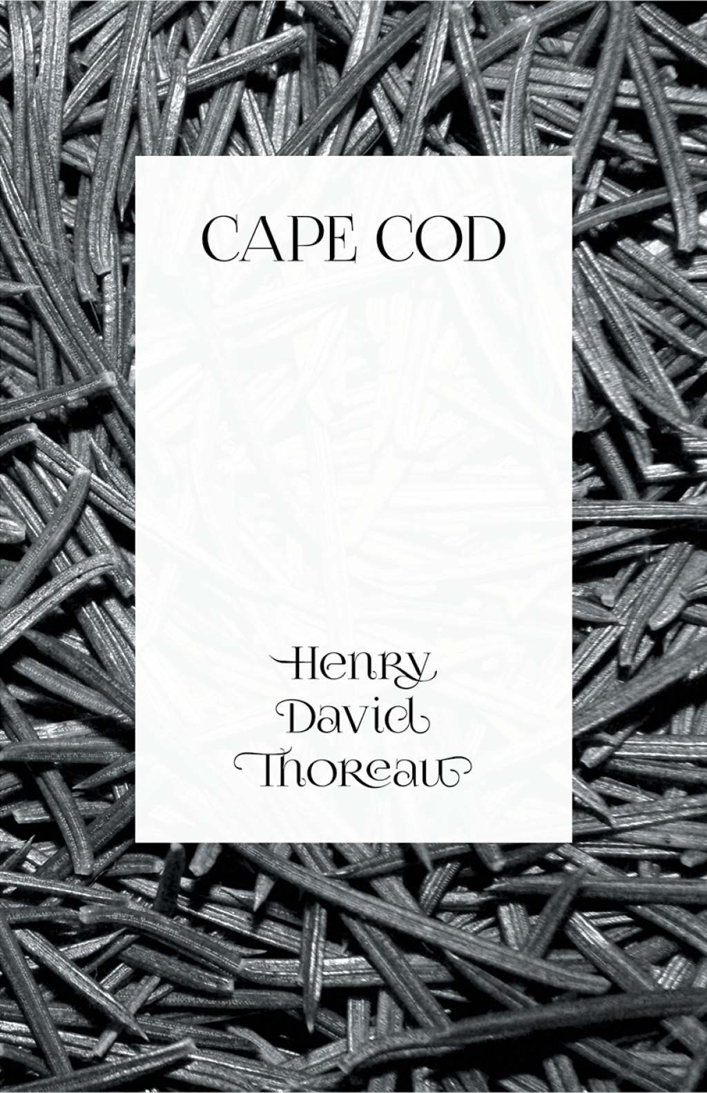 Cape Cod (eBook)