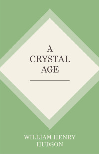 صورة الغلاف: A Crystal Age 9781473335660