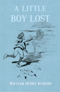 Imagen de portada: A Little Boy Lost 9781473335691