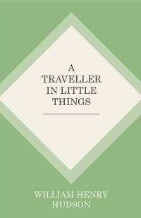 Omslagafbeelding: A Traveller in Little Things 9781473335714