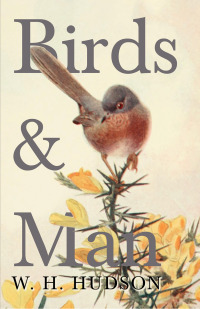 Imagen de portada: Birds and Man 9781406789362