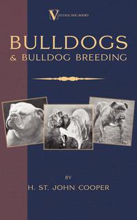 表紙画像: Bulldogs and Bulldog Breeding (A Vintage Dog Books Breed Classic) 9781905124381