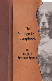表紙画像: The Vintage Dog Scrapbook - The English Springer Spaniel 9781447428442