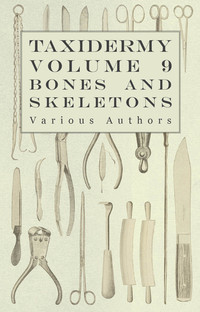صورة الغلاف: Taxidermy Vol. 9 Bones and Skeletons - The Collection, Preparation and Mounting of Bones 9781446524107