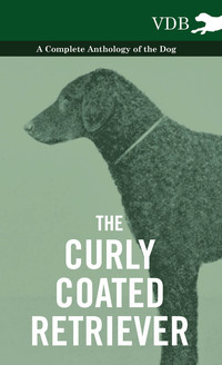 Omslagafbeelding: The Curly Coated Retriever - A Complete Anthology of the Dog - 9781445527093