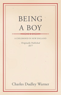 Immagine di copertina: Being a Boy 9781447459613