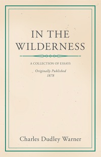 Cover image: In the Wilderness 9781447459620