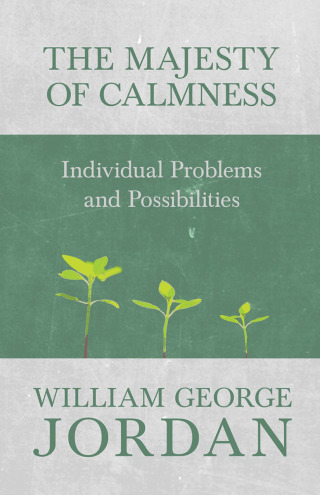 Cover image: The Majesty of Calmness - Individual Problems and Possibilities 9781473336568