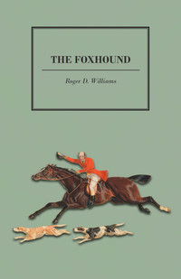 Titelbild: The Foxhound 9781473327221