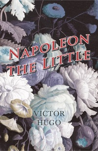 Cover image: Napoleon the Little 9781473332379