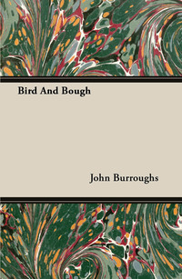 Cover image: Bird And Bough 9781406722116